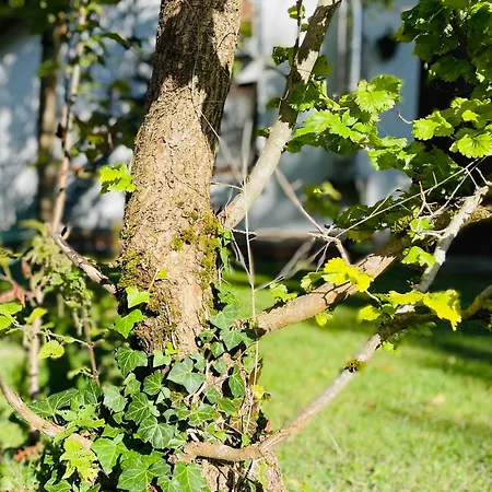 Gluecksfleckerl Nagel