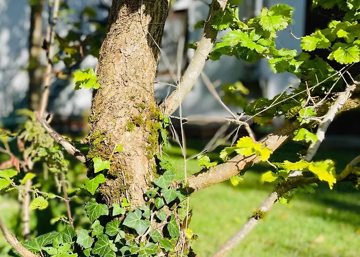 Gluecksfleckerl Nagel